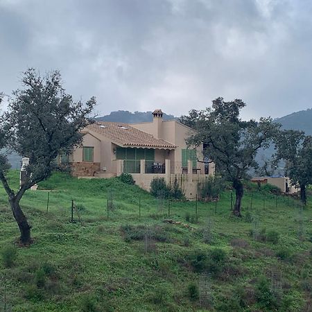 Alojamiento Rural En Aracena. Finca El Rehilete Bagian luar foto